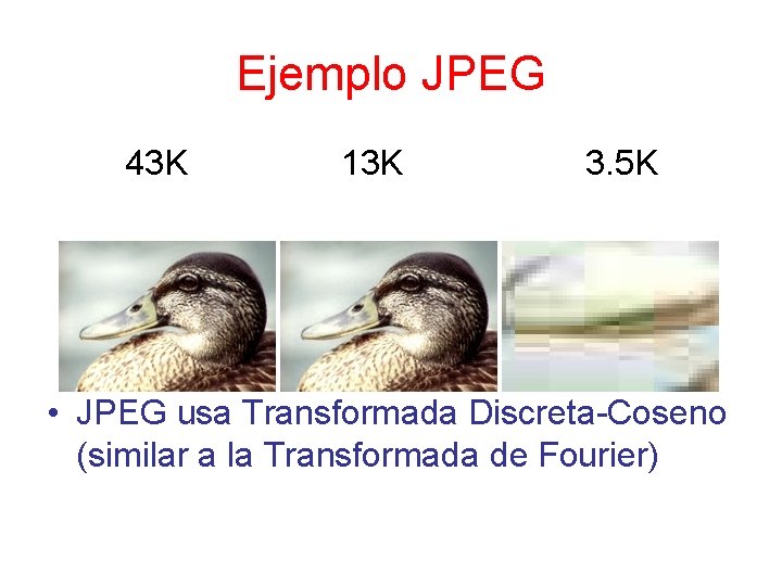 Ejemplo JPEG 43 K 13 K 3. 5 K • JPEG usa Transformada Discreta-Coseno