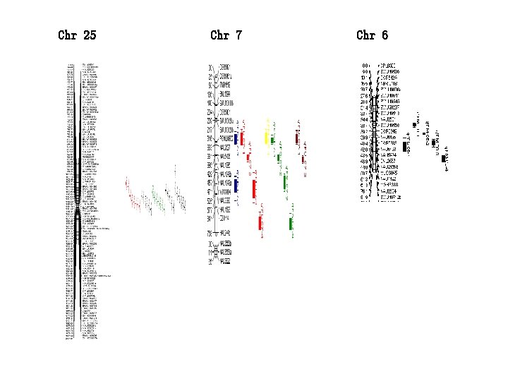 Chr 25 Chr 7 Chr 6 