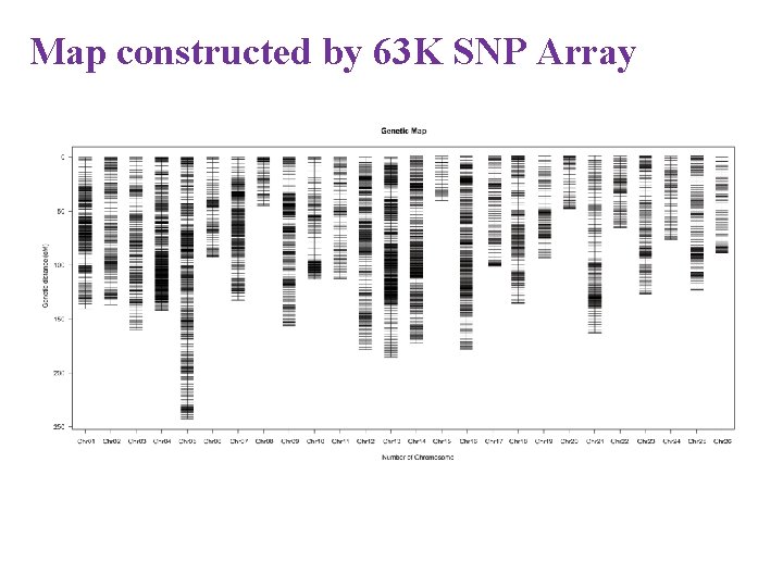 Map constructed by 63 K SNP Array 