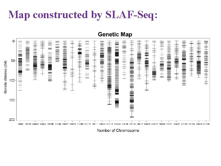 Map constructed by SLAF-Seq: 