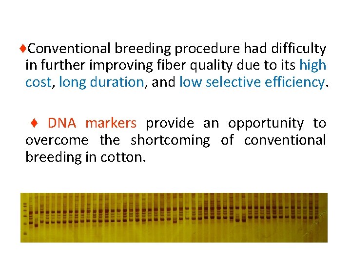 ♦Conventional breeding procedure had difficulty in further improving fiber quality due to its high