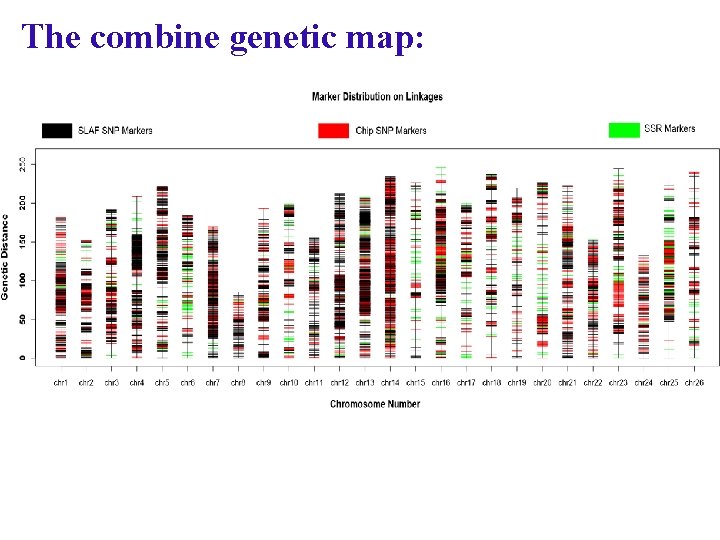 The combine genetic map: 