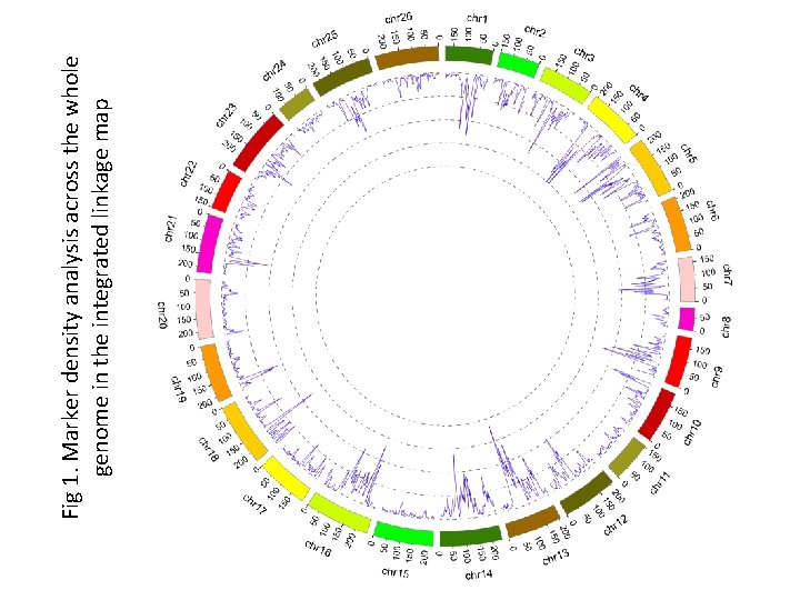 Fig 1. Marker density analysis across the whole genome in the integrated linkage map