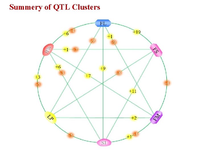 Summery of QTL Clusters 