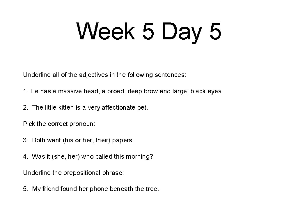 Week 5 Day 5 Underline all of the adjectives in the following sentences: 1.