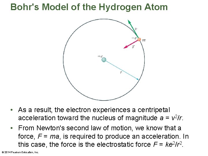 Bohr's Model of the Hydrogen Atom • As a result, the electron experiences a