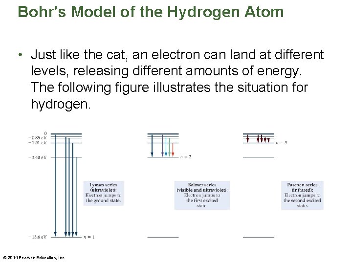 Bohr's Model of the Hydrogen Atom • Just like the cat, an electron can