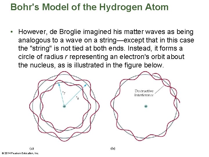 Bohr's Model of the Hydrogen Atom • However, de Broglie imagined his matter waves