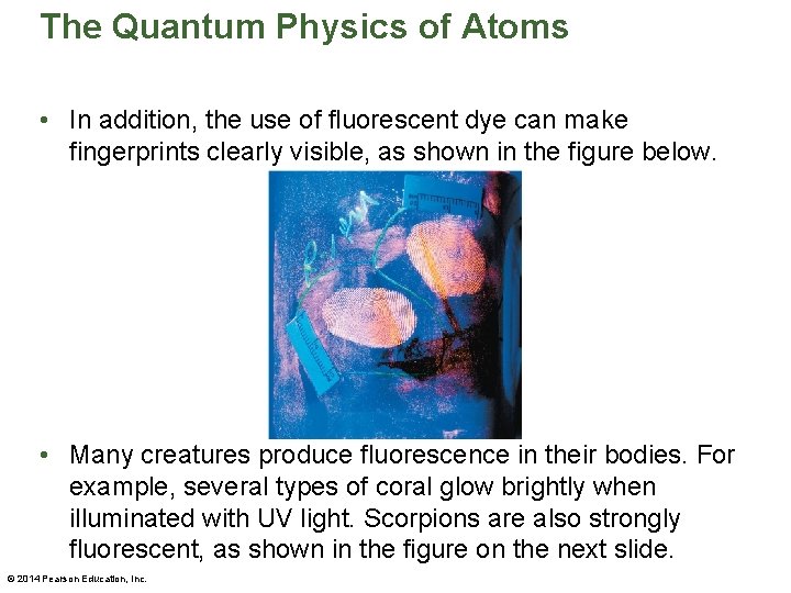 The Quantum Physics of Atoms • In addition, the use of fluorescent dye can