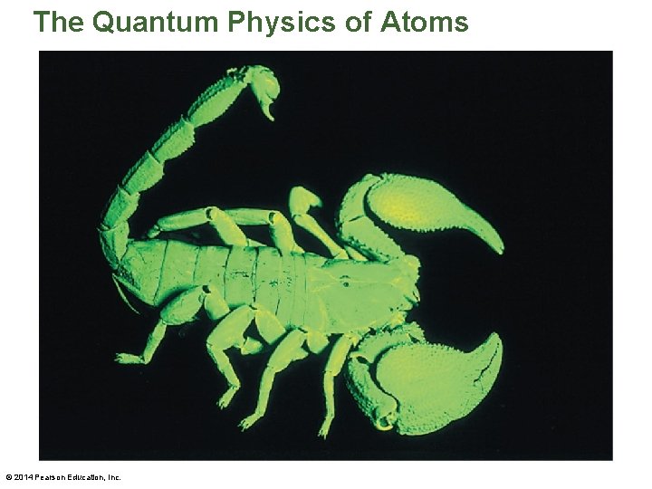 The Quantum Physics of Atoms © 2014 Pearson Education, Inc. 