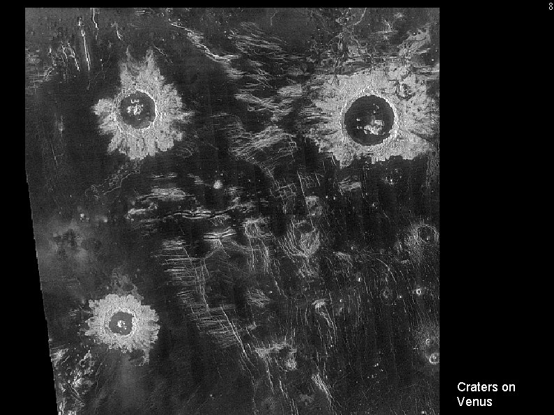 8 Impact Cratering Craters on Venus 