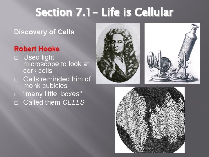 Section 7. 1 - Life is Cellular Discovery of Cells Robert Hooke � Used