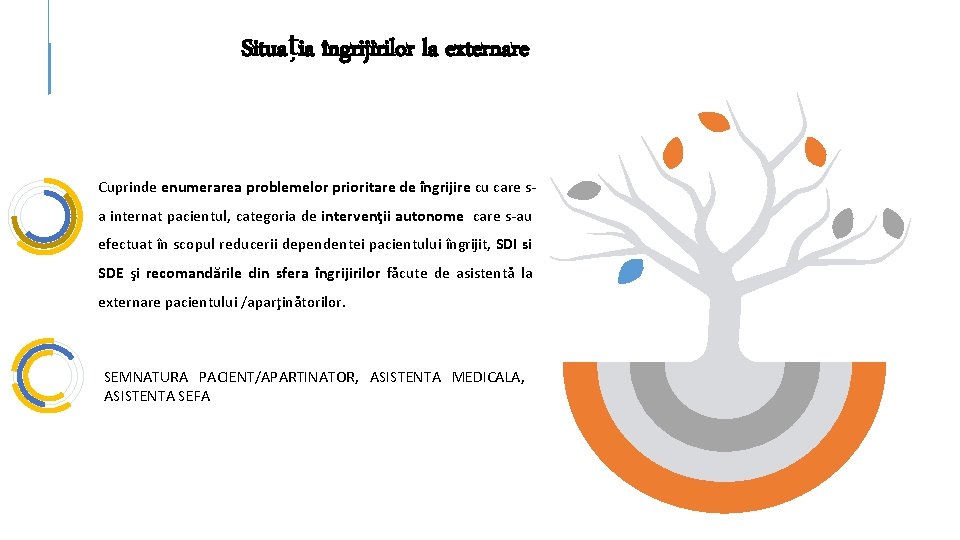 Situația îngrijirilor la externare Cuprinde enumerarea problemelor prioritare de îngrijire cu care sa internat