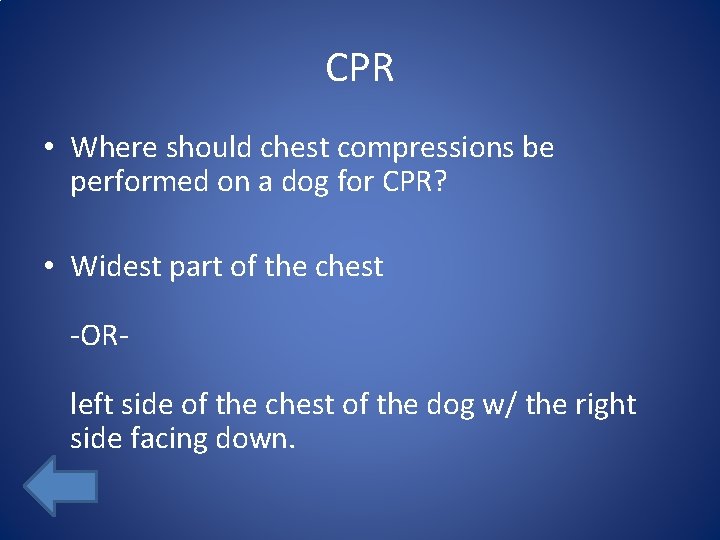 CPR • Where should chest compressions be performed on a dog for CPR? •