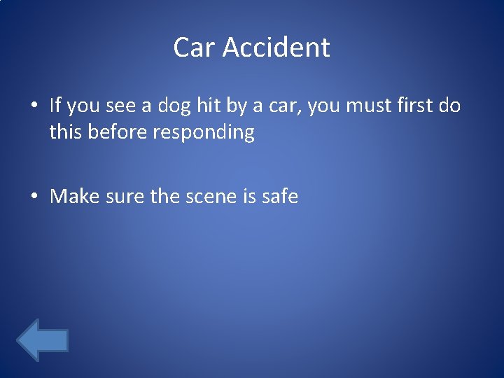 Car Accident • If you see a dog hit by a car, you must
