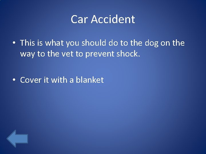 Car Accident • This is what you should do to the dog on the