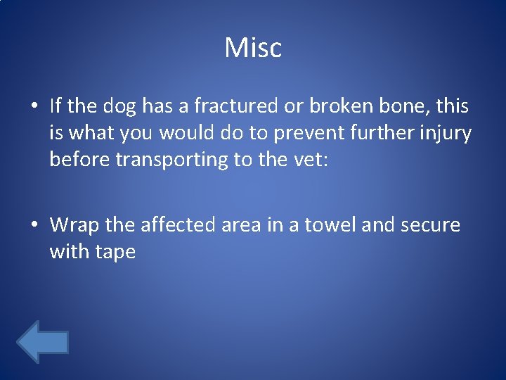 Misc • If the dog has a fractured or broken bone, this is what