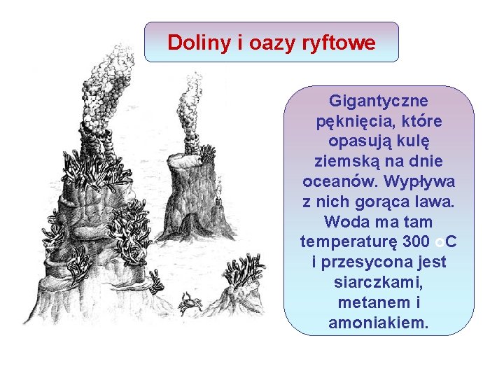 Doliny i oazy ryftowe Gigantyczne pęknięcia, które opasują kulę ziemską na dnie oceanów. Wypływa