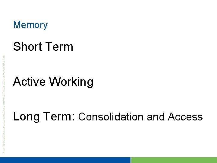 Memory Short Term Active Working Long Term: Consolidation and Access 