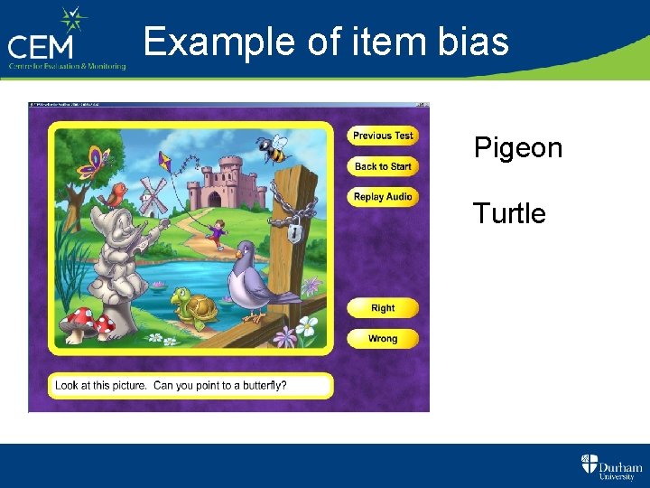 Example of item bias Pigeon Turtle 