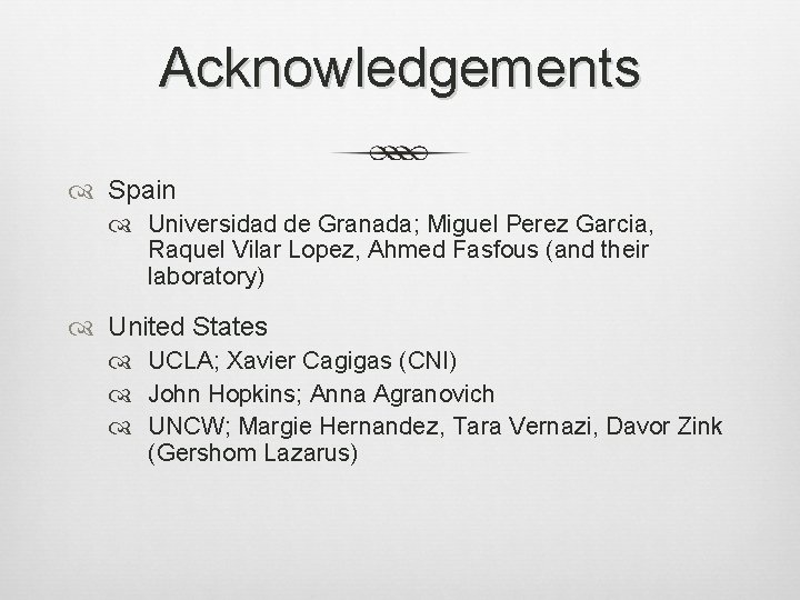 Acknowledgements Spain Universidad de Granada; Miguel Perez Garcia, Raquel Vilar Lopez, Ahmed Fasfous (and