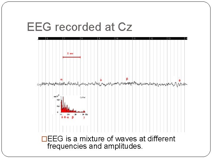EEG recorded at Cz �EEG is a mixture of waves at different frequencies and