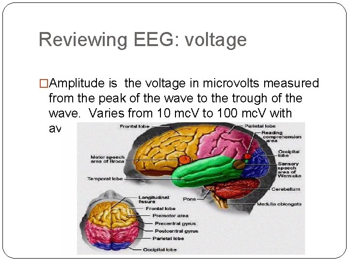 Reviewing EEG: voltage �Amplitude is the voltage in microvolts measured from the peak of