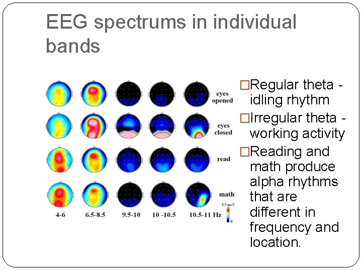 EEG spectrums in individual bands �Regular theta - idling rhythm �Irregular theta working activity