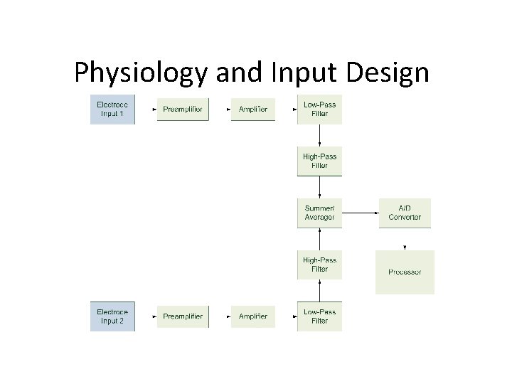 Physiology and Input Design 