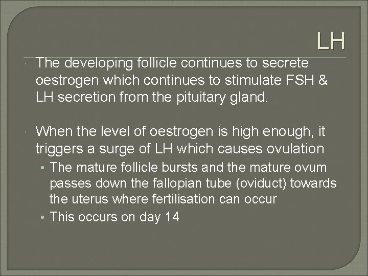 LH The developing follicle continues to secrete oestrogen which continues to stimulate FSH &
