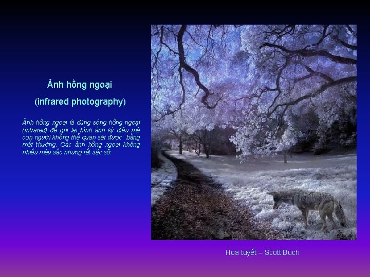 Ảnh hồng ngoại (infrared photography) Ảnh hồng ngoại là dùng sóng hồng ngoại (infrared)