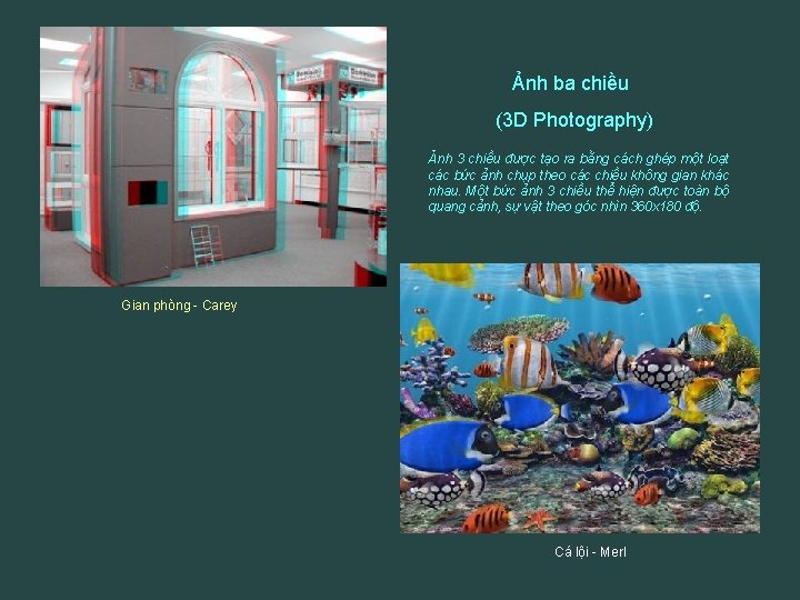 Ảnh ba chiều (3 D Photography) Ảnh 3 chiều được tạo ra bằng cách