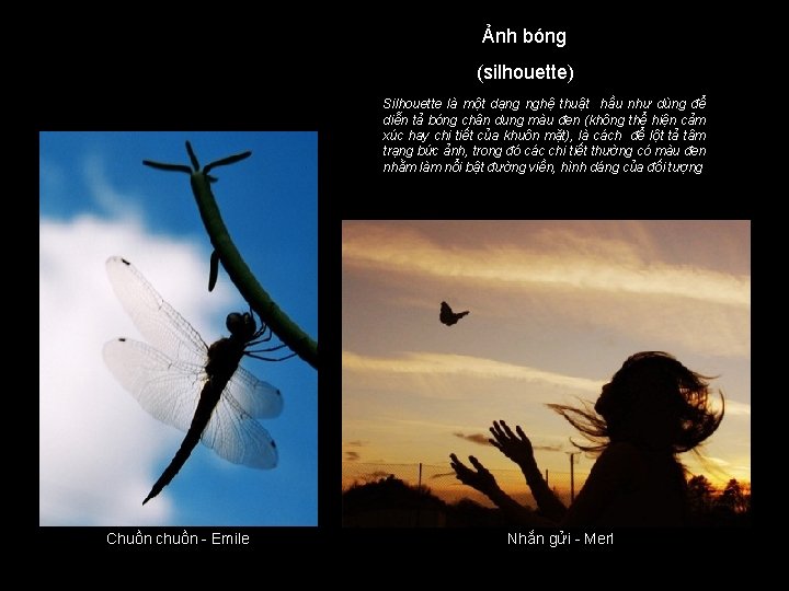 Ảnh bóng (silhouette) Silhouette là một dạng nghệ thuật hầu như dùng để diễn