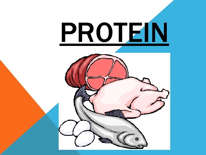 PROTEIN 