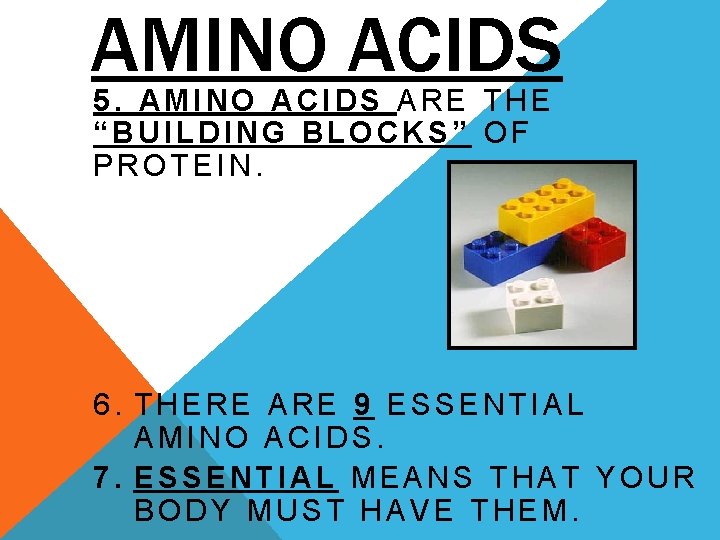 AMINO ACIDS 5. AMINO ACIDS ARE THE “BUILDING BLOCKS” OF PROTEIN. 6. THERE ARE