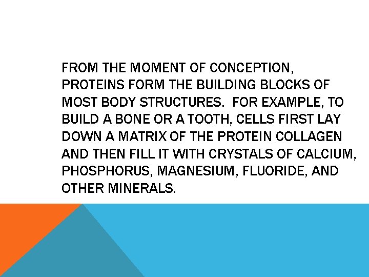 FROM THE MOMENT OF CONCEPTION, PROTEINS FORM THE BUILDING BLOCKS OF MOST BODY STRUCTURES.