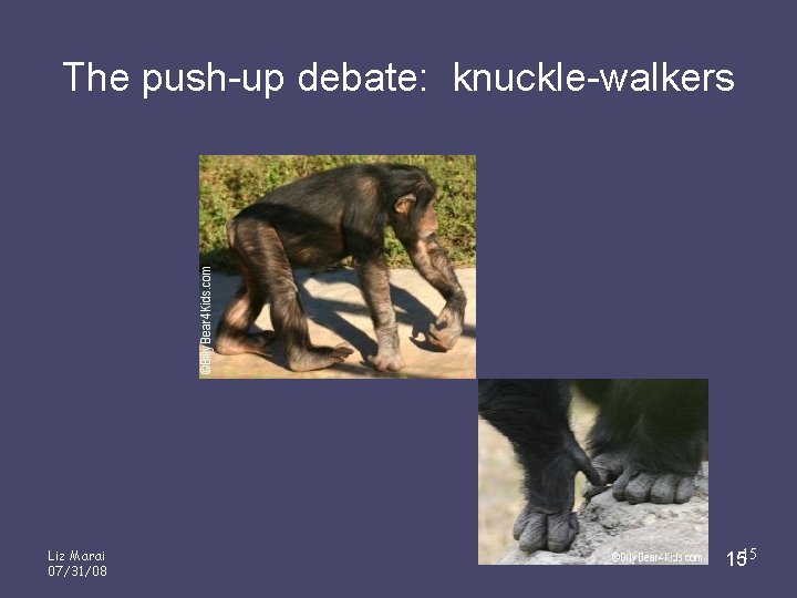 The push-up debate: knuckle-walkers Liz Marai 07/31/08 1515 