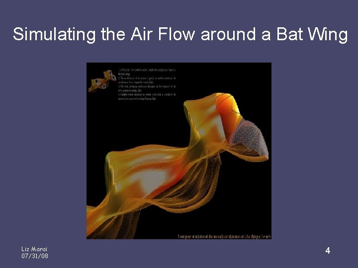 Simulating the Air Flow around a Bat Wing Liz Marai 07/31/08 4 