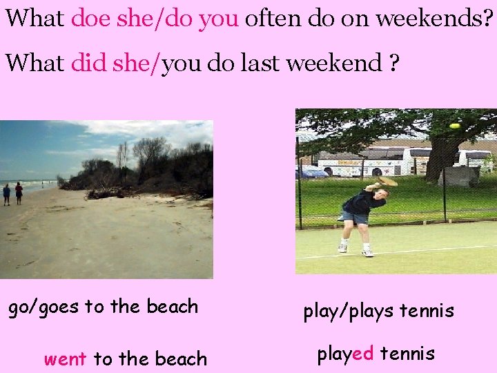 What doe she/do you often do on weekends? What did she/you do last weekend