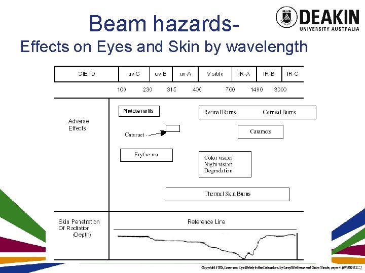 Beam hazards. Effects on Eyes and Skin by wavelength 