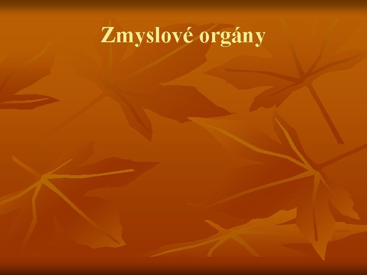 Zmyslové orgány 