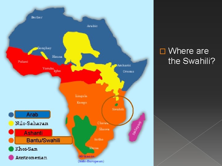 � Arab Ashanti Bantu/Swahili Where are the Swahili? 