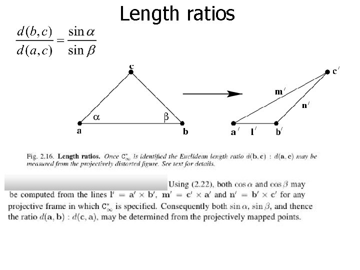 Length ratios 