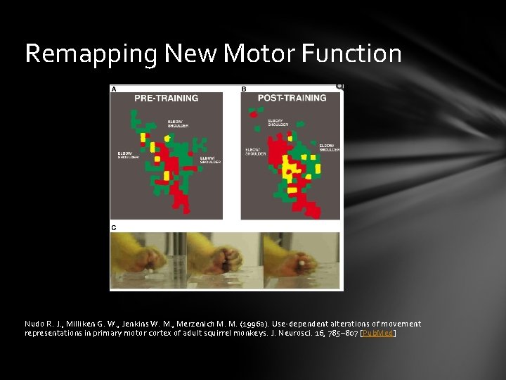 Remapping New Motor Function Nudo R. J. , Milliken G. W. , Jenkins W.