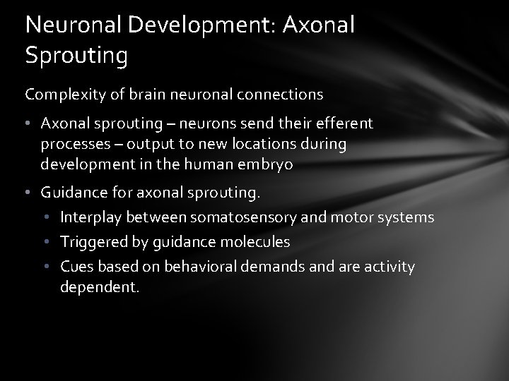 Neuronal Development: Axonal Sprouting Complexity of brain neuronal connections • Axonal sprouting – neurons