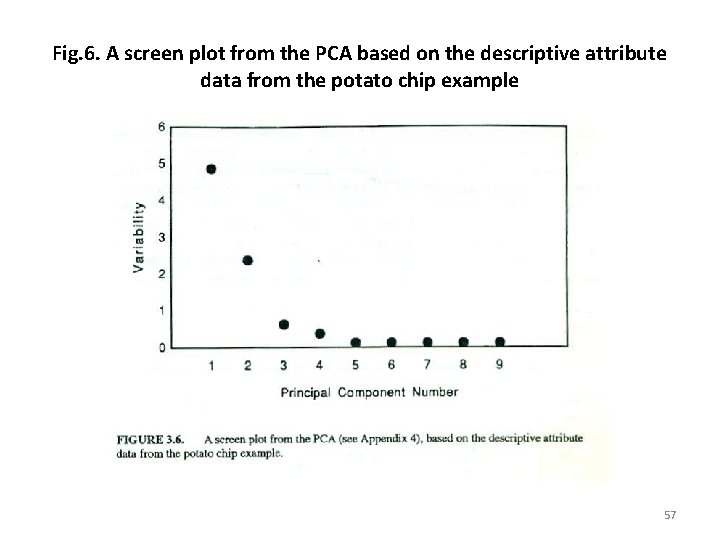 Fig. 6. A screen plot from the PCA based on the descriptive attribute data