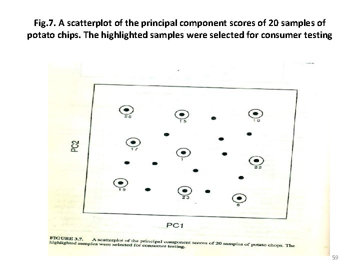Fig. 7. A scatterplot of the principal component scores of 20 samples of potato