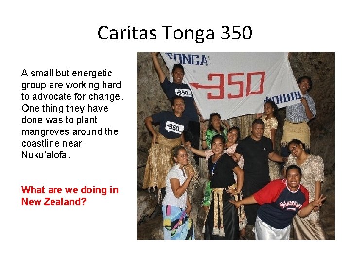Caritas Tonga 350 A small but energetic group are working hard to advocate for