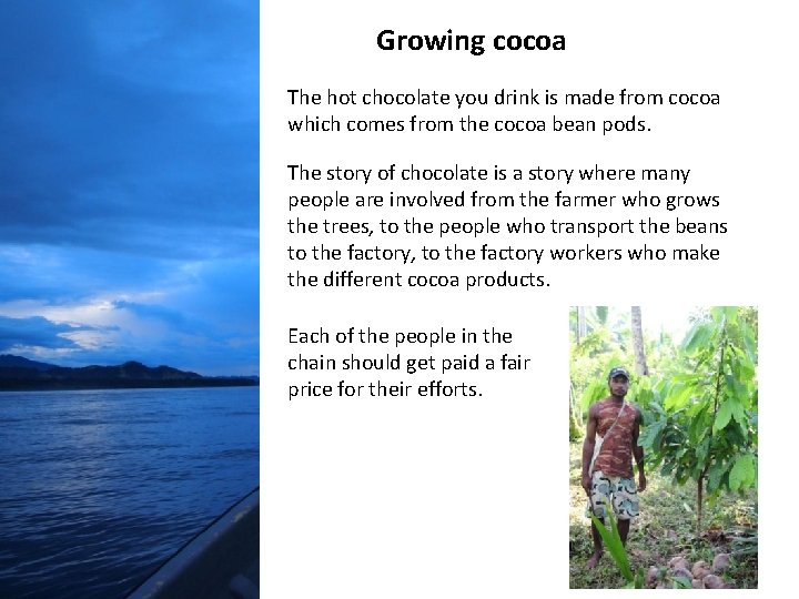 Growing cocoa The hot chocolate you drink is made from cocoa which comes from