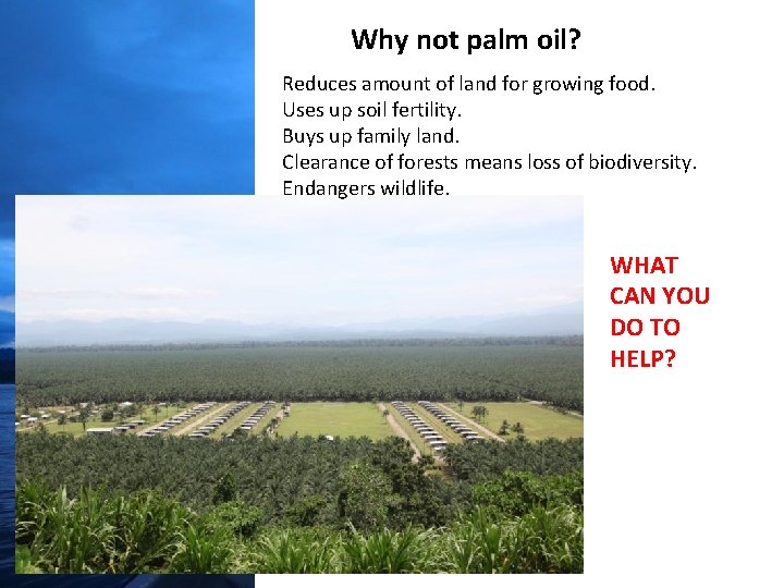 Why not palm oil? Reduces amount of land for growing food. Uses up soil